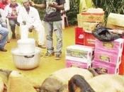 Cameroun Dans secrets pays Eton