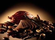 Belgique: milliard dollars d’investissement dans chocolat