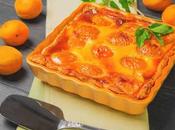 Flan Léger abricots