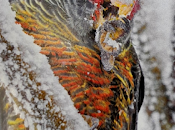 premier tour monde, partie