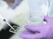 CONTRACEPTION nouvel anticorps topique fige sperme