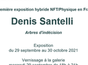 Galerie Schwab Beaubourg exposition Denis Santelli partir Septembre 2021.