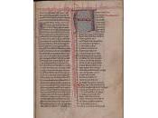 (Carte blanche) Claude Minière, "Consolation d'Anvers"