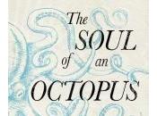 Soul Octopus Montgomery