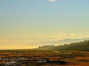 Après pluie… #Isle-aux-Coudres