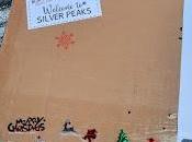Unboxing Découvrez l'incroyable Noël Silver Peaks Marlène Eloradana