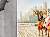 temps Mercedes Land Rover dépassé. chameaux sont l'horizon