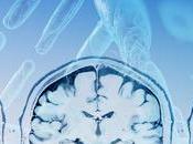 AUTISME ÉPILEPSIE Mais quel lien entre maladies