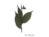 (Note lecture) Hope Mirrlees, Paris, Isabelle Baladine Howald