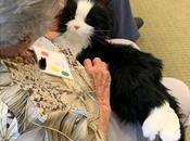 DÉMENCE chat robotique pour maintenir l'humeur cognition