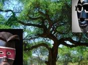 Fleuve Niger Mopti mont Loma