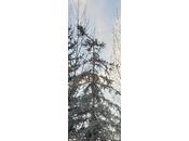 L'adversité apporte toujours solution créative