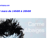 Galerie -Galerie Naudin -exposition Albaiges partir Mars 2022.
