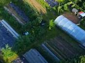 ferme permaculture hectares Ecosse (vidéo)