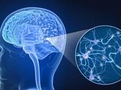 INTESTIN-CERVEAU Premier mécanisme explicatif dans plexus choroïde