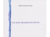 (Note lecture) Valérie Canat Chizy, mots dessinent lèvres, Sanda Voïca