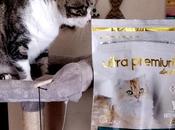 chats testé croquettes sans céréales Ultra Premium Direct Leur avis