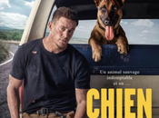 CINEMA (Chien) Channing Tatum