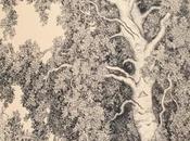 Galerie Chaptal nouvelles acquisitions