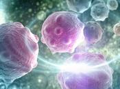CANCER Exploiter ferroaddiction tumeurs