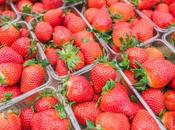 Comment conserver fraises pour qu’elles restent fraîches longtemps