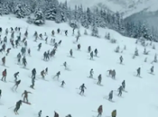 Visite skieurs américains hausse