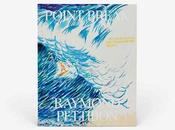 Raymond pettibon point break