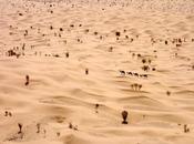 Sahara tunisien vivre rêve désert éveillé…
