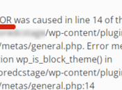 mise jour plugin Yoast WordPress provoque erreurs fatales