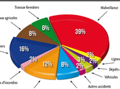 Feux forêts quelle sont causes