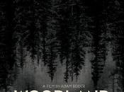Critique Ciné Woodland Grey (2022, SVOD)