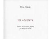 (Note lecture) Elisa Biagini, Filaments, Marc Wetzel