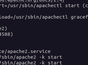 Comment installer serveur Apache sous Linux étape