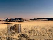 Organisme international