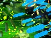 ALLERGIE ALIMENTAIRE L'effacer soignant microbiome