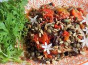 Salade lentilles chaud-froid tomates (Vegan)