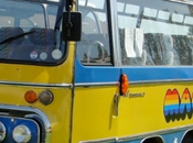 rencontre sexuelle bizarre a-t-elle inspiré chanson Beatles Walrus”