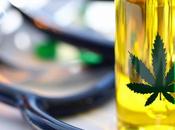 CRISE OPIOÏDES cannabis médical est-il partie solution