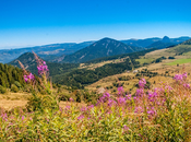 quoi ressemble Auvergne-Rhône-Alpes, France, tant qu’expatrié