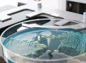 INFECTION Comment bactéries perforent membranes cellulaires