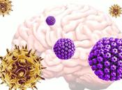 ALZHEIMER virus courants pourraient déclencher apparition