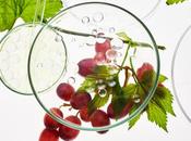 RAISIN, l'antidote naturel régime occidental