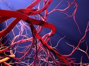 OBÉSITÉ mauvaise alimentation mais différentes comorbidités, pourquoi