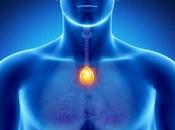 Stimulez «point bonheur»