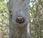 Pirogues, baobabs lémuriens quand l’Ouest Madagascar touche plein cœur
