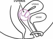 Connaissez vous point