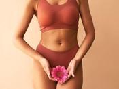 Règles plus solutions alternatives voient jour