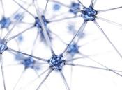 MÉDECINE RÉGÉNÉRATIVE nerfs synthétiques bioréalistes