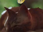 maisons jeux vidéo plus idylliques