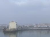 Douce brume port Cotinière